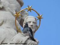 Imagine atasata: Reabilitare centru - 2016.03.22 - 15.jpg